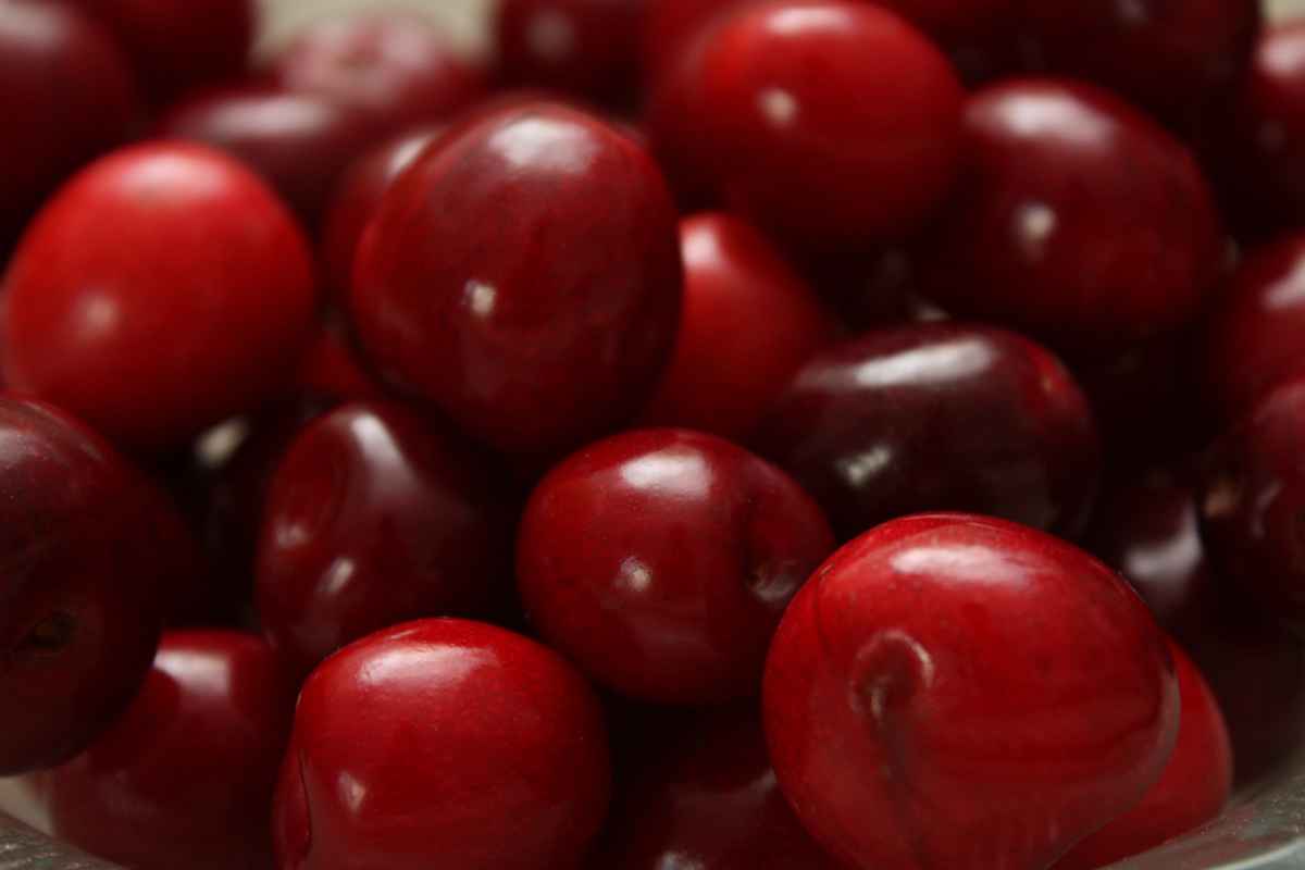 Rote Kirschen