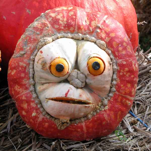 Kürbiskunst