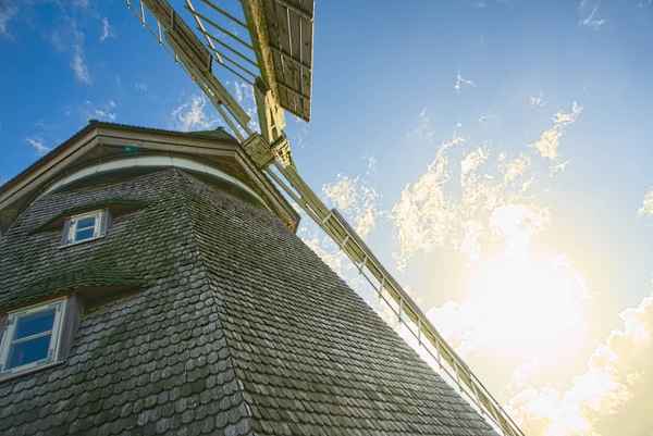 Windmühle Tierpark Stralsund