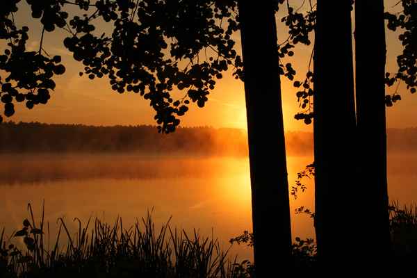 sweet silence