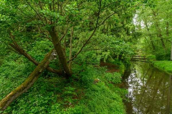 Unberührte Natur