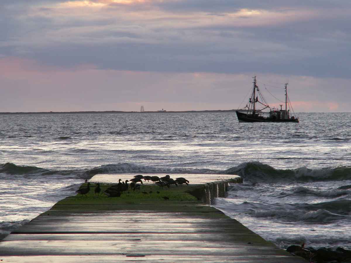 Borkum Abendstimmung