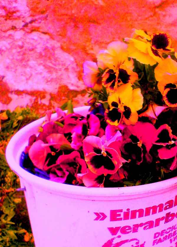 zuviel rosa und pink