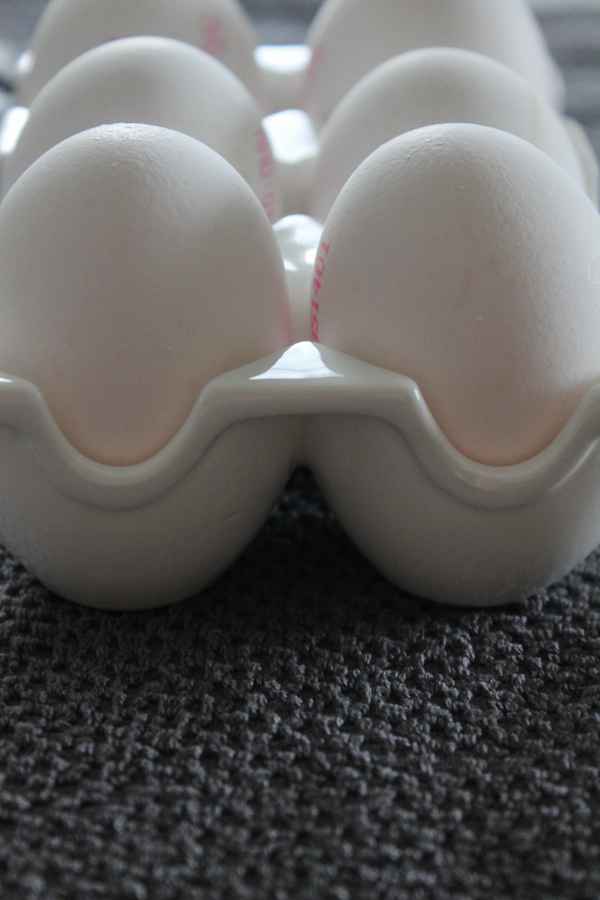Eier