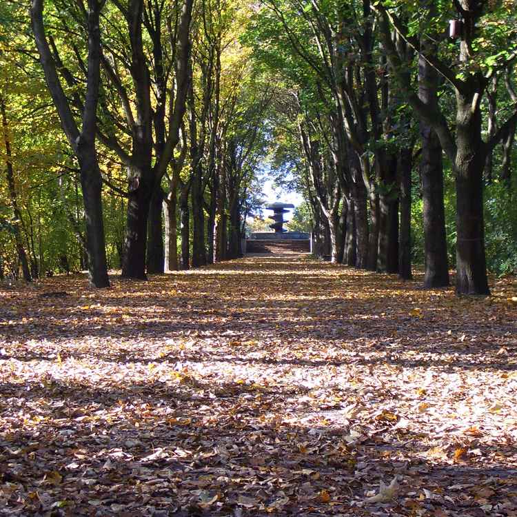 Herbst 001