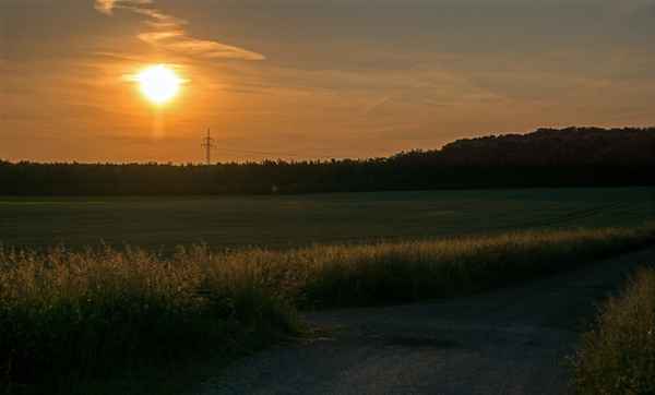 Ein schöner Morgen I