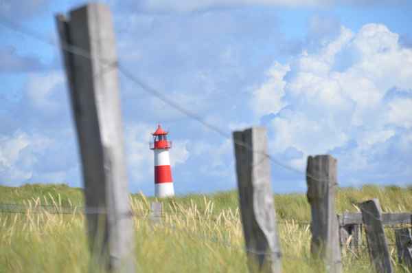 Sylt
