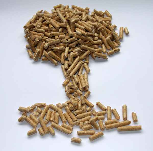 Holzpellet Baum