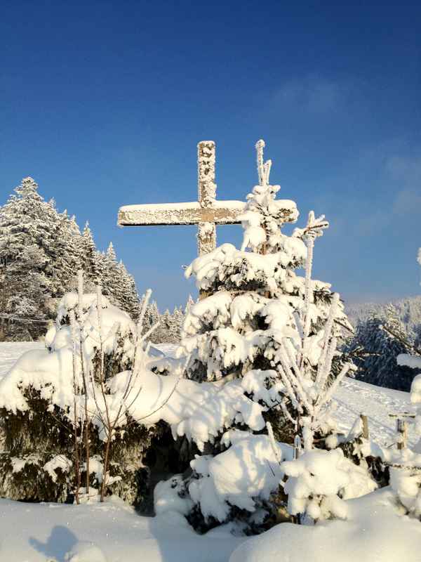 Schneekreuz