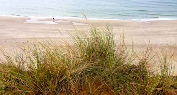 Steilufer Rotes Kliff Sylt