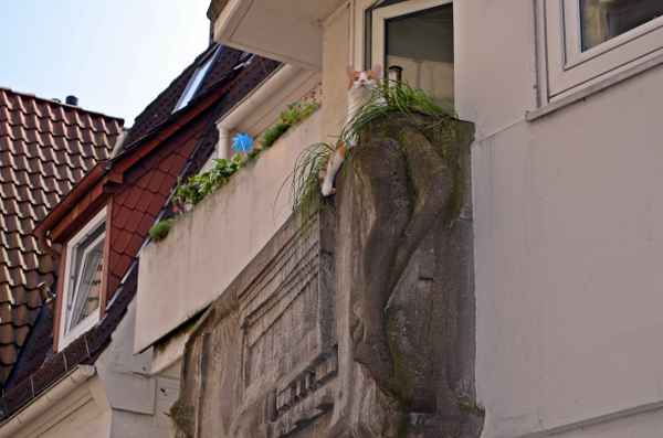 Alles im Blick auf dem Balkon