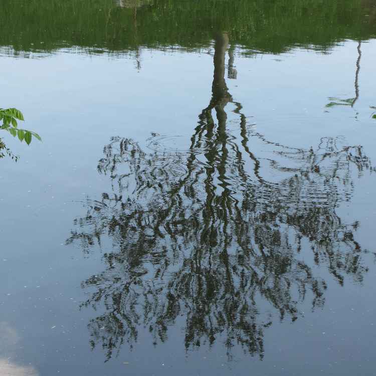 Wasserspiele 3