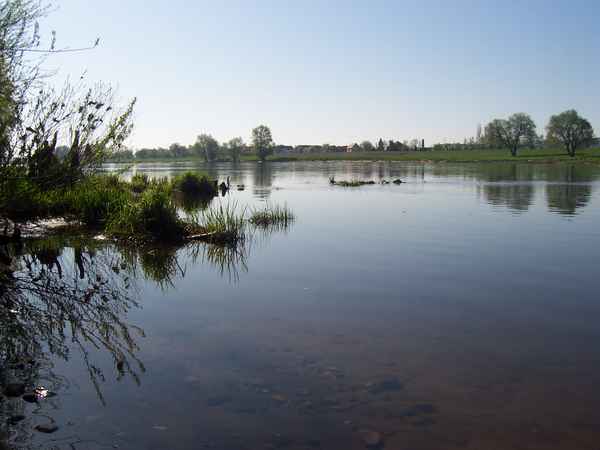 Elbromantik in der früh
