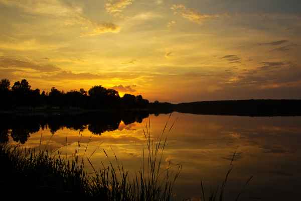 Sommerabend am Weiher