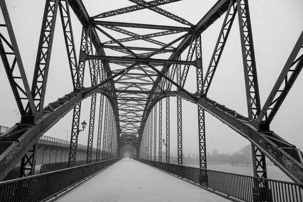 Alte Harburger Elbbrücke (1)