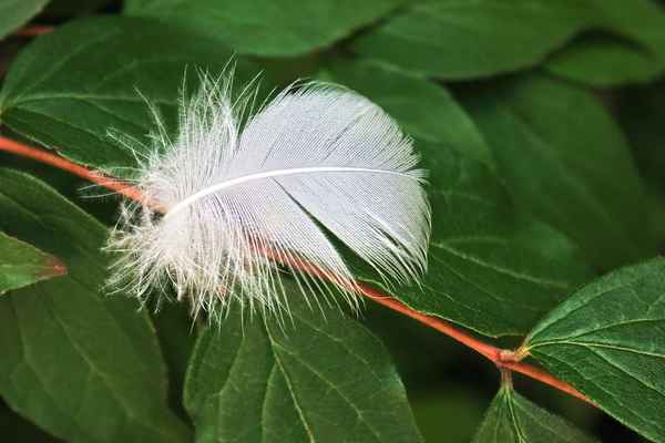 vom Winde verweht...