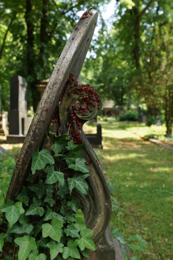 lebendiger Grabschmuck