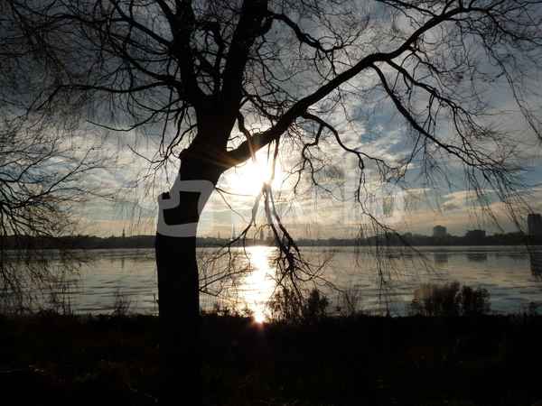 Vereiste Außenalster im Gegenlicht