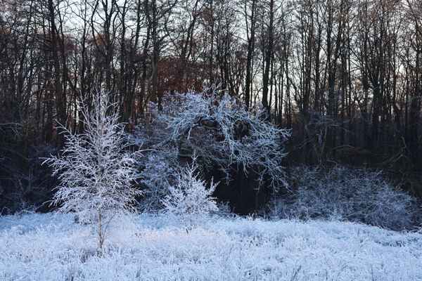 ein bischen frostig 1