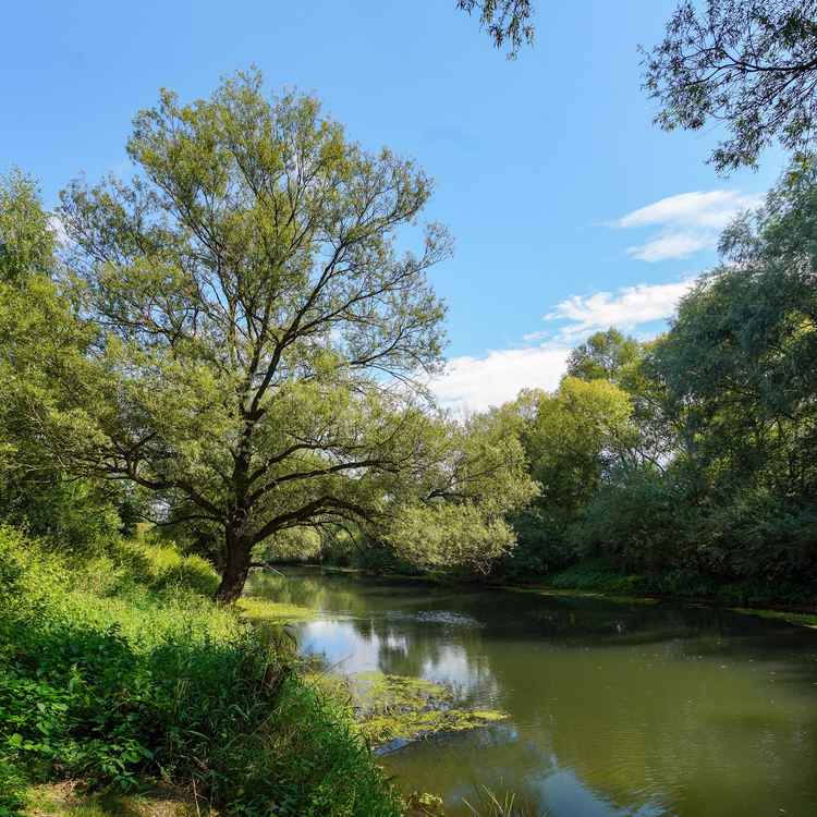 An der Lippe bei Lippstadt
