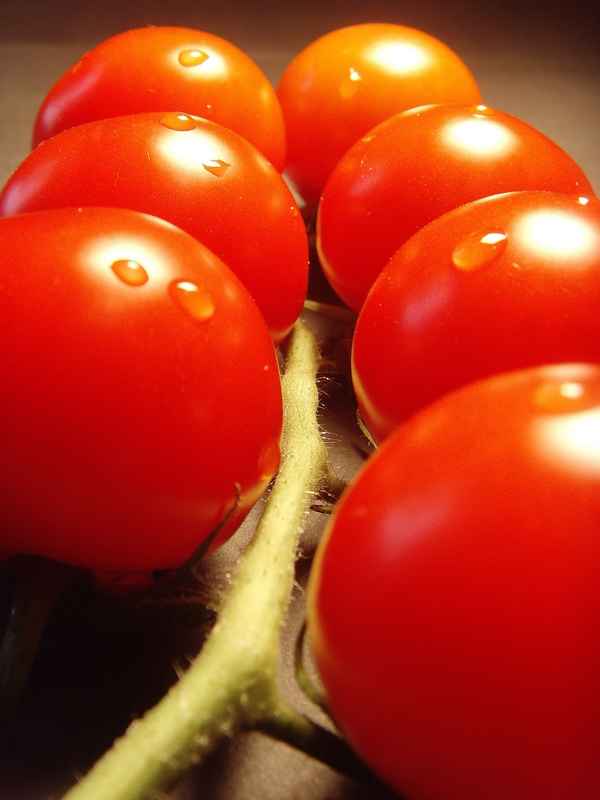 So sehen Bio-Tomaten aus...lecker