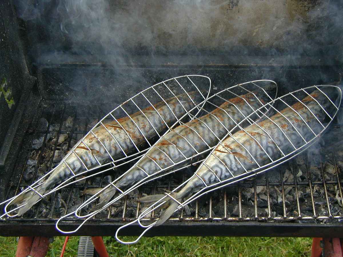 Gegrillter Fisch