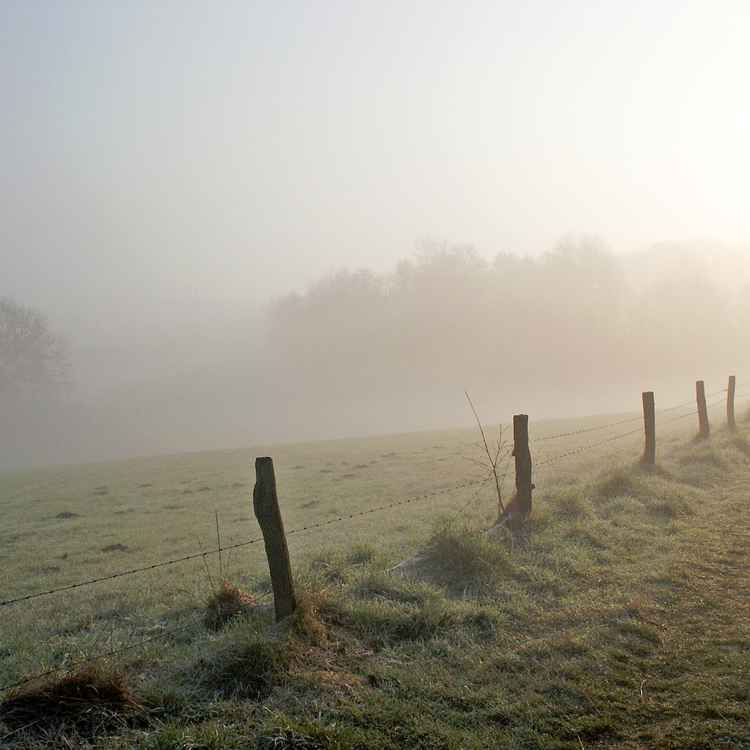 Morgennebel 10/04/2004
