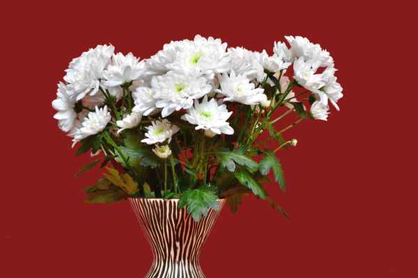 Alles Gute...