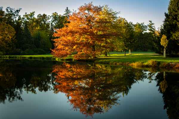Herbst