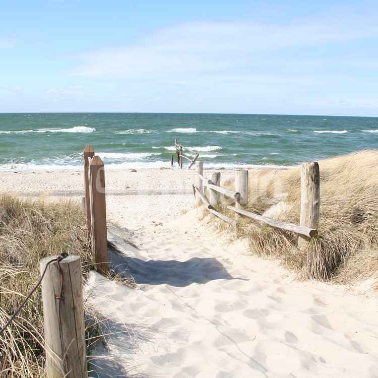Herz was willst du Meer?