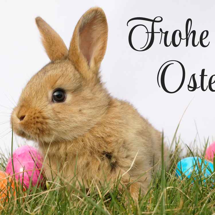 Frohe Ostern mit Osterhasen