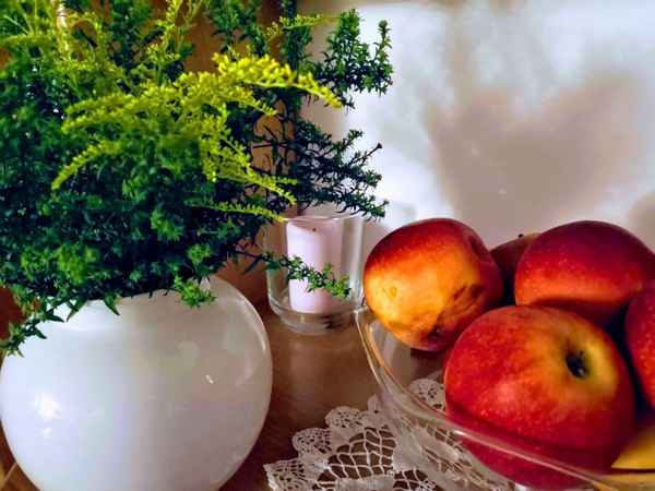 Blume und Äpfel