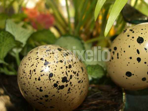 Is denn scho Ostern?