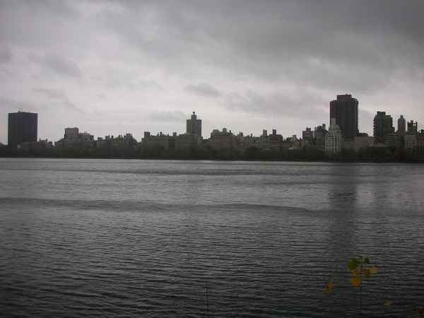 Central Park See