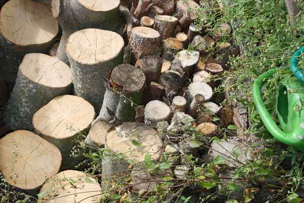Holzvorrat im Garten