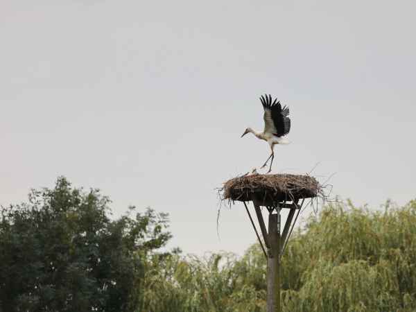 nur fliegen ist schöner