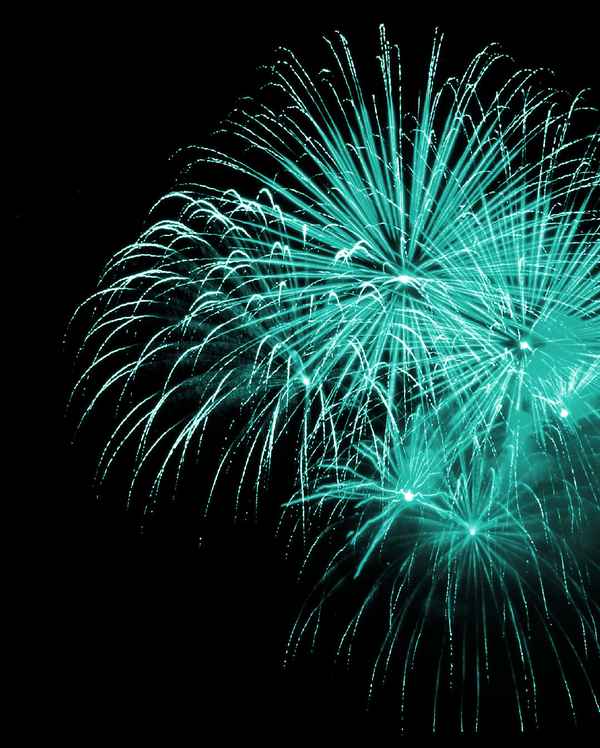 SILVESTERZAUBER 2016  XV