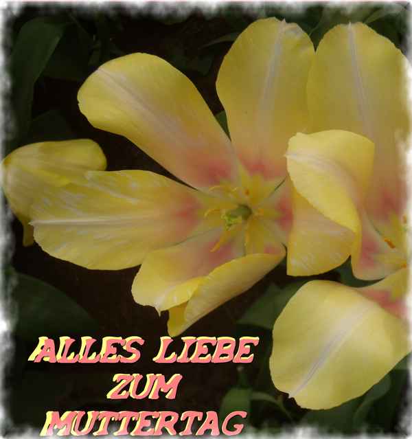 Grüße zum Muttertag