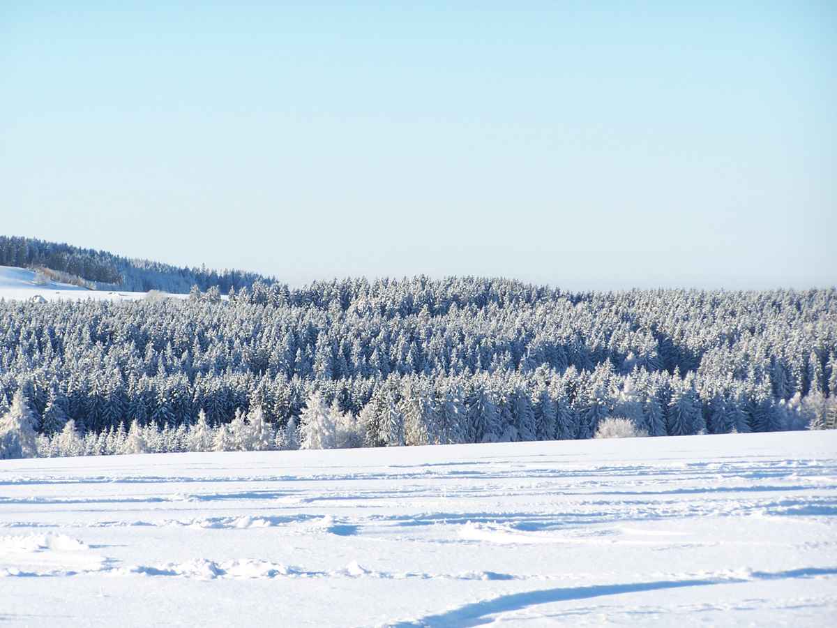Ein ganz normaler Winter.