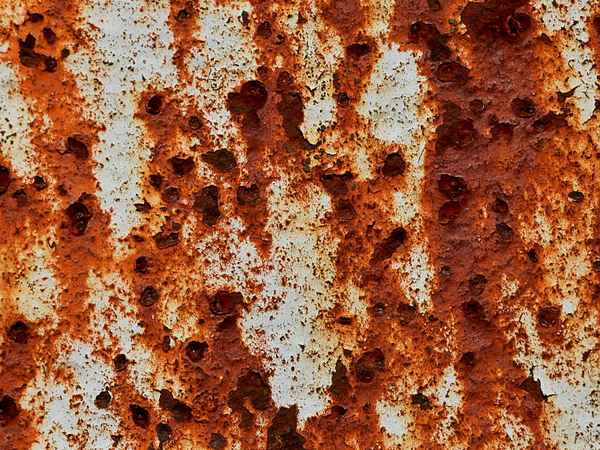 Rost