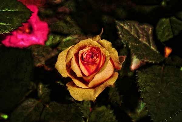 05.05. Immer noch in meinem Kopf und Herzen!