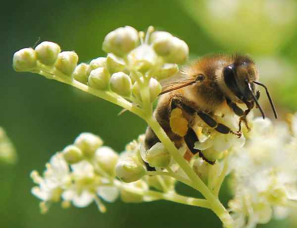 Gerade noch erwischt