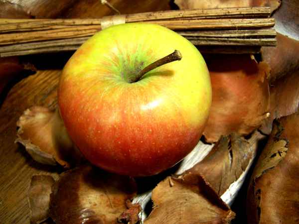 Apfel + Deko 2