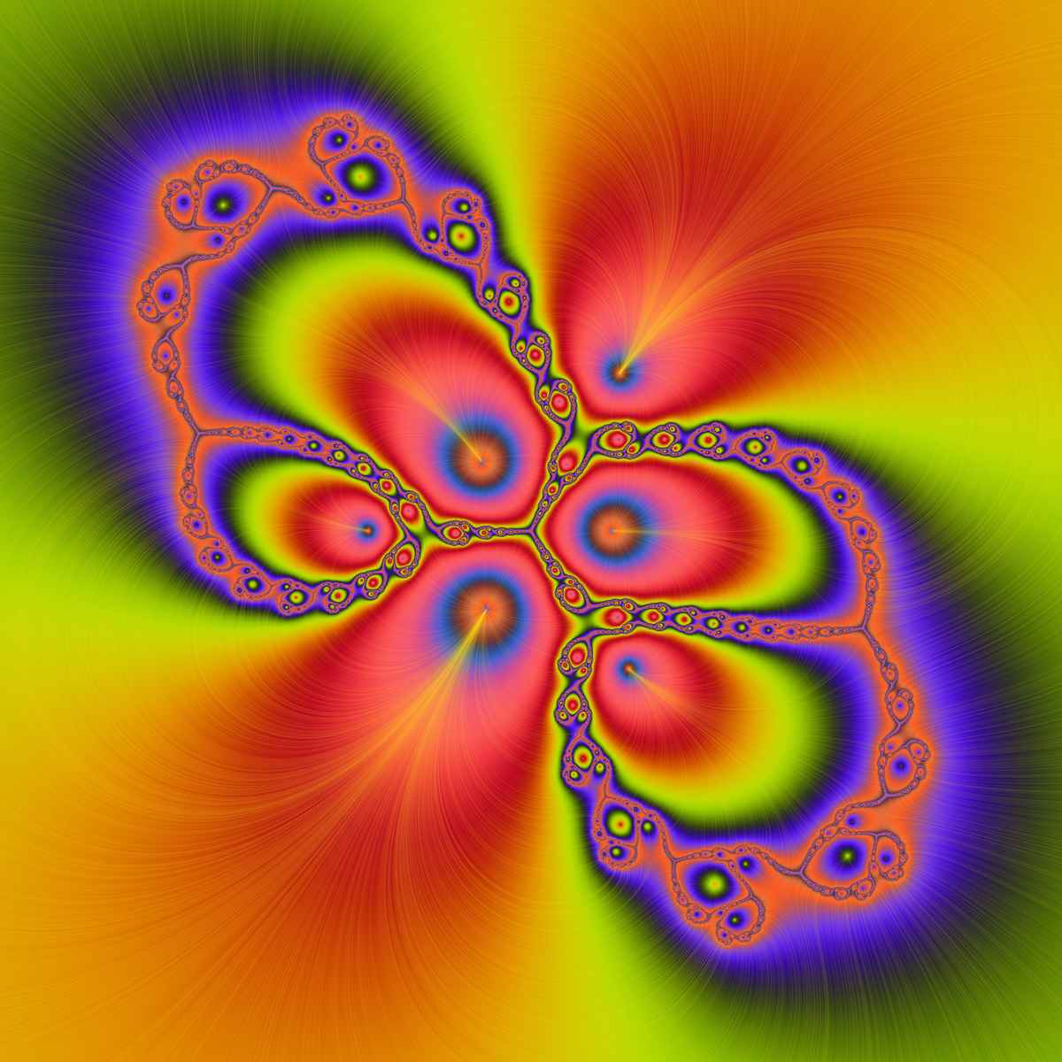 metamorphorsed butterfly