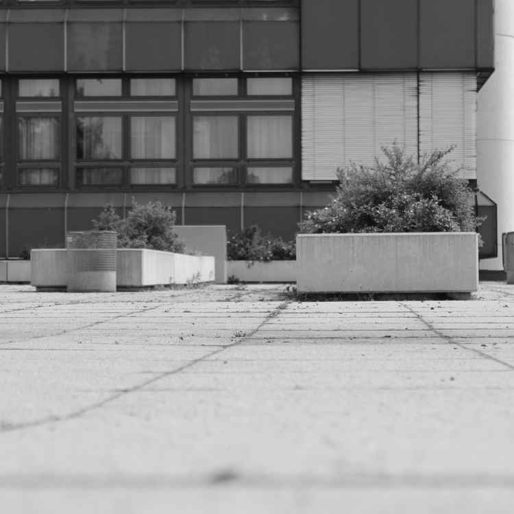 Die Ruhe vor dem Sturm