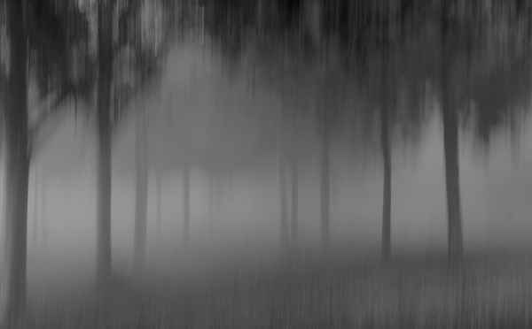Nebel