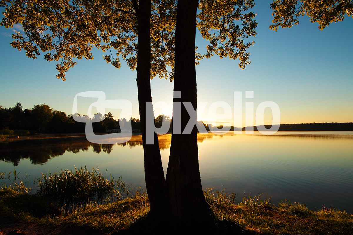 Maiabend am Weiher