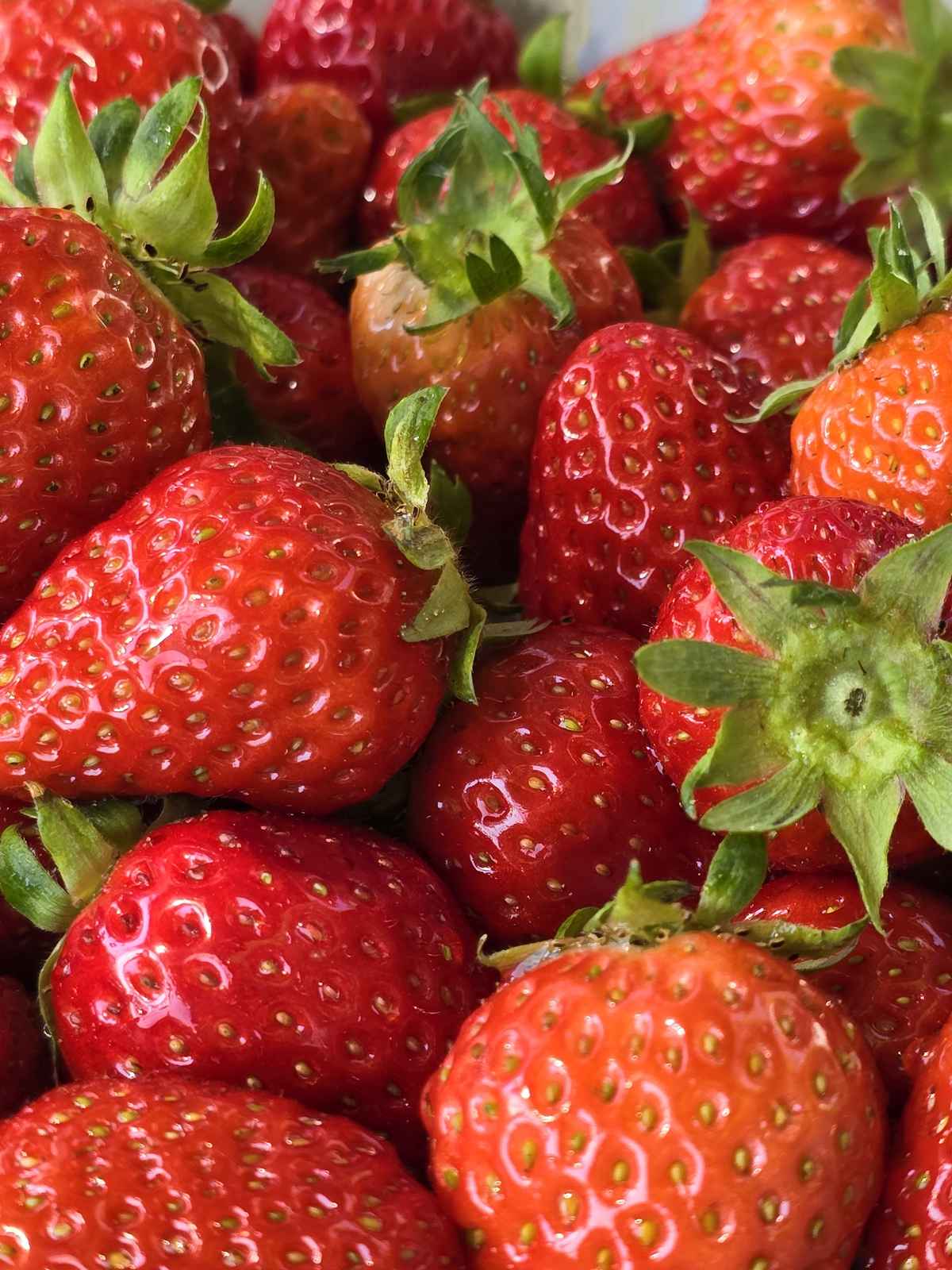 Frische Erdbeeren