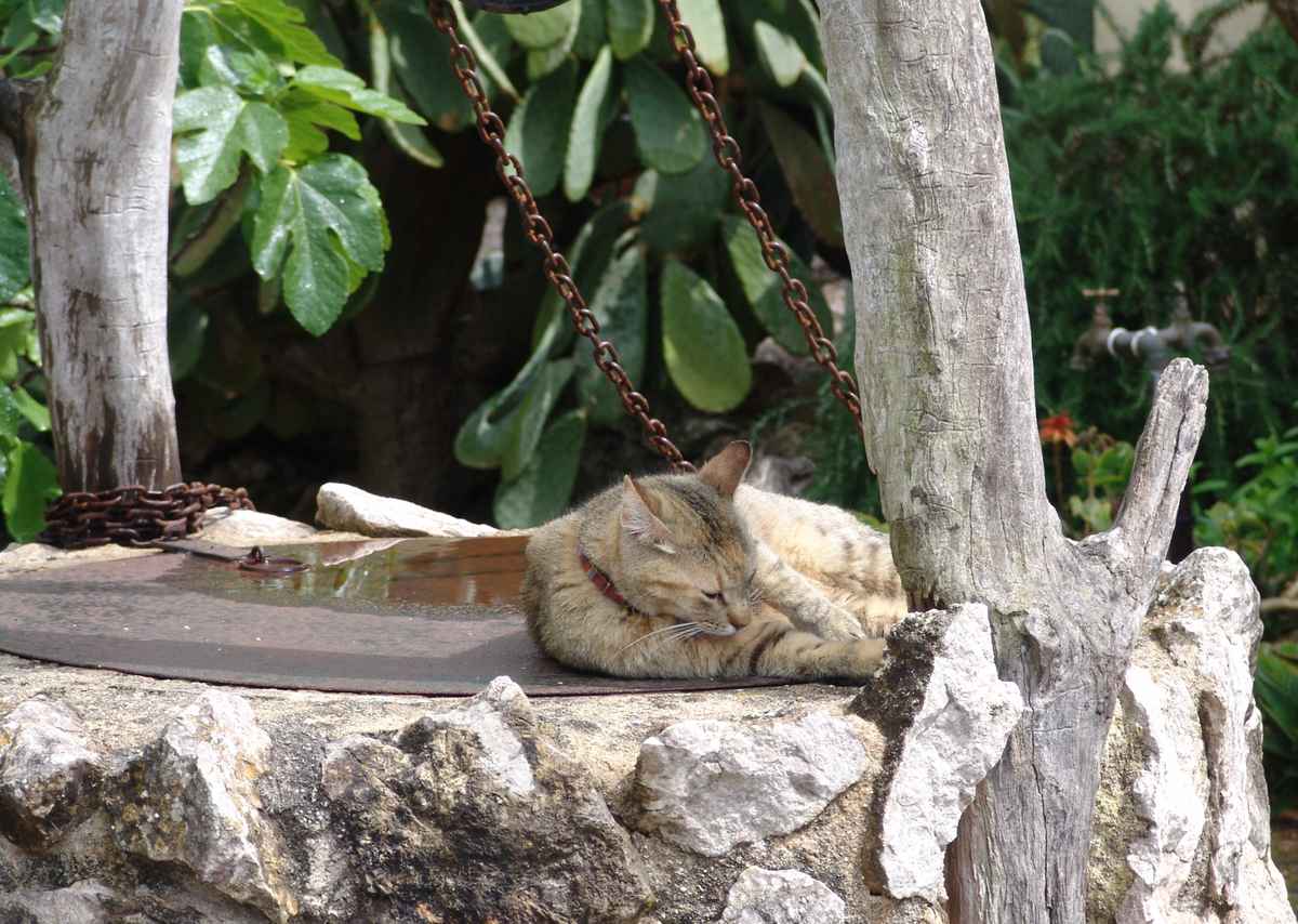 Entspannung auf dem Brunnen