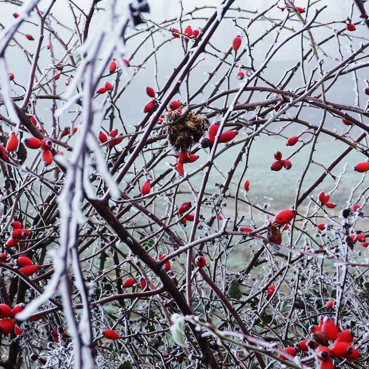 farbtupfer im nebelgrau